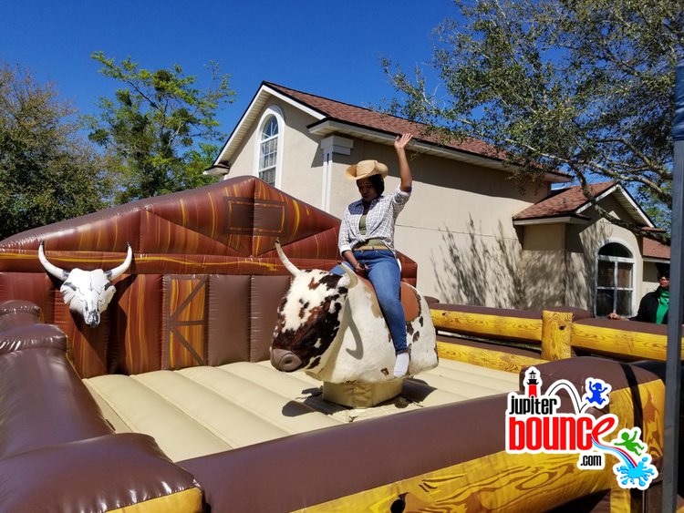 Mechanical Bull Mechanical Bull