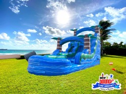 20' Blue Heron Double Lane Slide