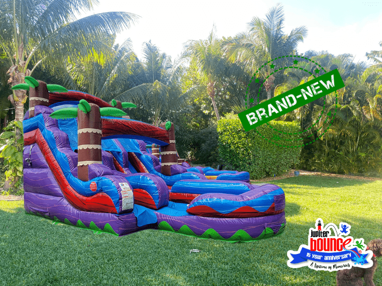 NEW 17' Baja Burst Double Lane Slide NEW 17' Baja Burst Double Lane Slide