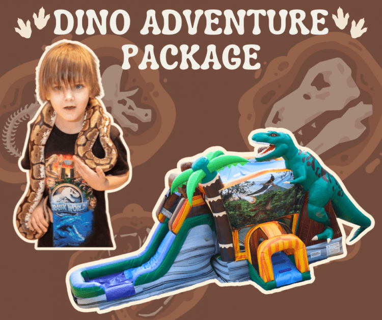 Dino Adventure Package 🦖