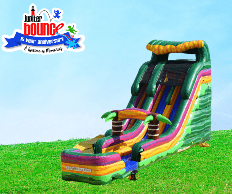 NEW 25' Mardi Party Slide ONLY (DRY)