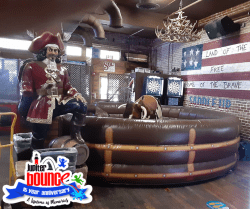 Mechanical Bull⭐