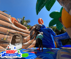 Shipwrecked204201 1714498337 Shipwrecked Combo