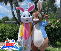 Easter Bunny