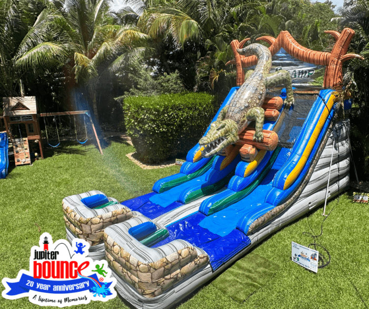 The Gator Swamp Double Lane Slide The Gator Swamp Double Lane Slide