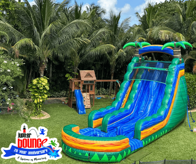 20' Green Turtle Cay Double Lane Slide 20' Green Turtle Cay Double Lane Slide