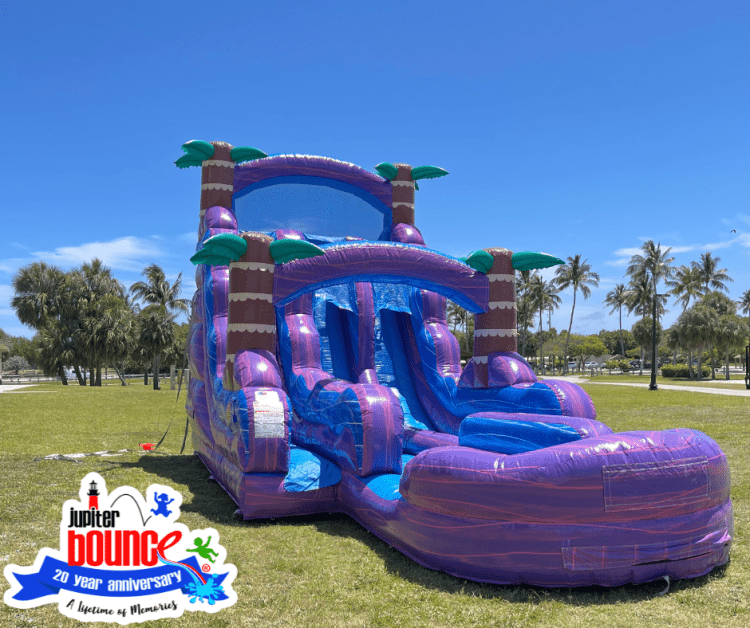 20' Paradise Pointe Double Lane Slide 20' Paradise Pointe Double Lane Slide