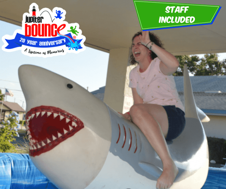Mechanical Shark Mechanical Shark