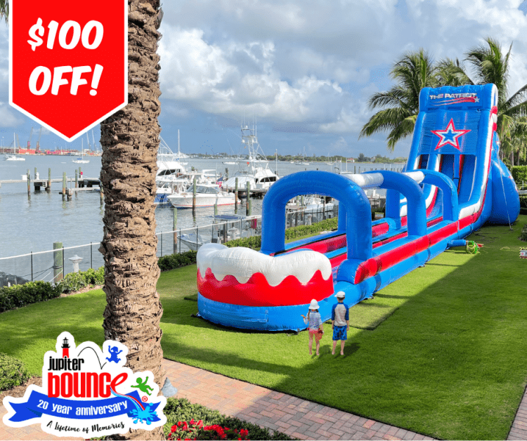 30' Patriot Double Lane Slide**